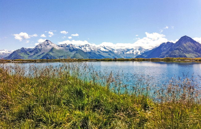 Alpenblick - Foto 53