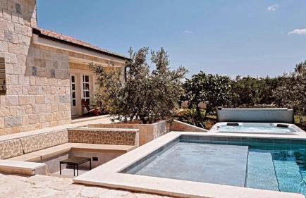 NEW 2023 Villa Tree of Life - Photo 49