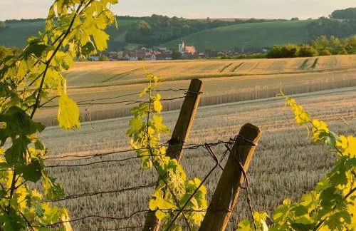 Ferienwohnung Gutermuth Obereisenheim - Foto 20