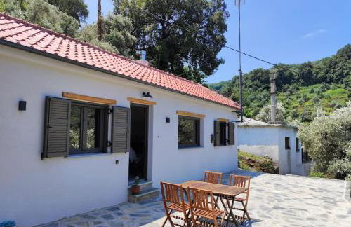 Fofi's House - Foto 6