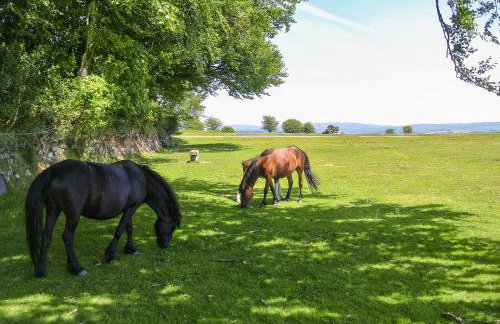 Annies Cottage - Foto 14