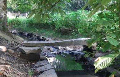 Le Citrus - Séjour cosy en plein centre historique - Foto 27