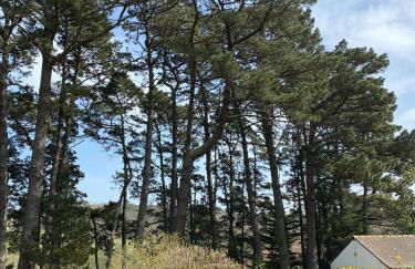 Le coteau - Photo 15