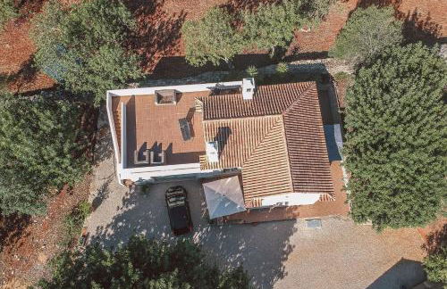 Monte 3 Alfarrobeiras - Foto 6