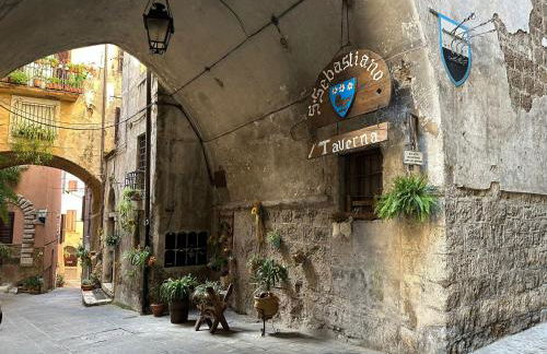 La Civetta - Casa vacanze Orte - Foto 1