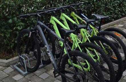 Holiday Villa Sasha - Foto 57