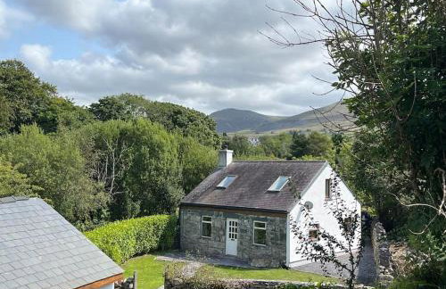 Bryn Rhedyn cottage - Foto 1