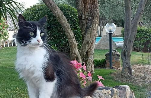 Villa REBECCA - Foto 56