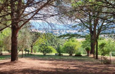 Villa Vignacce - Boutique Country Resort - Photo 26