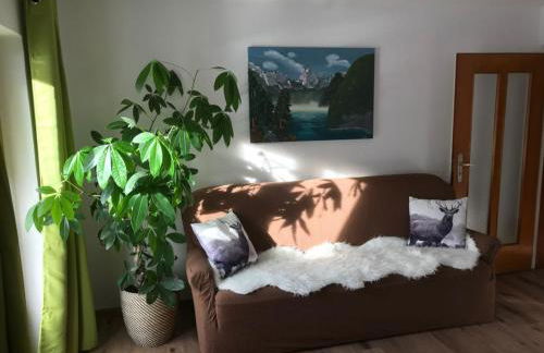 Gästehaus Weinrebe - Foto 21