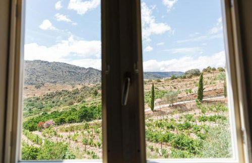 Olhares do Douro - Foto 23