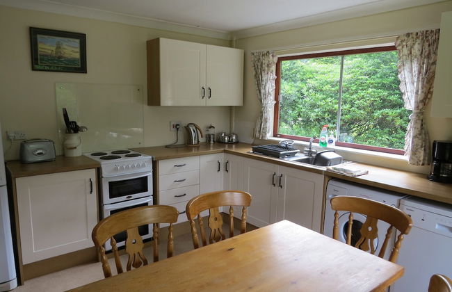 Broncoedwig Devil's Bridge - Foto 5