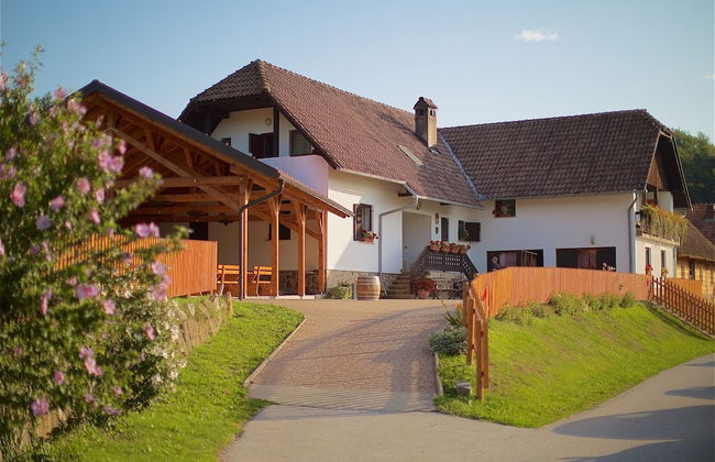 Tourist Farm Lovrec - Foto 56