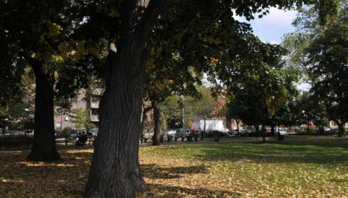 Brooklyn Beautiful Studio Apartment - Foto 3