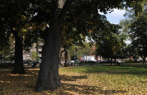 Brooklyn Beautiful Studio Apartment - Foto 3