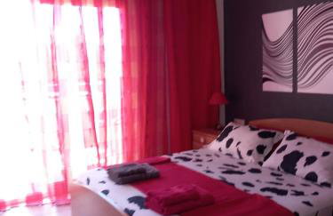 Magic Mola - Foto 32