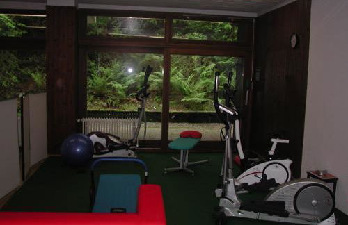 Gemütliche 1Z FeWo in Schönwald mit Balkon, Schwimmbad, Sauna, Fitness - Foto 17