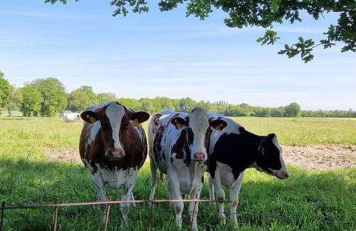 Gemütliche Wohnung direkt am Küstenkanal! - Foto 36