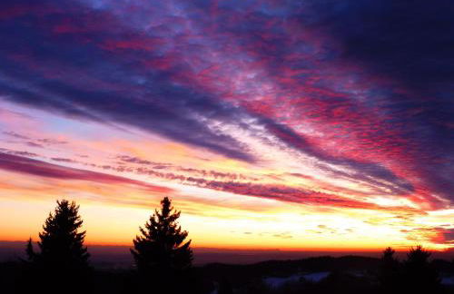 Komfortable Wohnungen und Studio in Sankt Englmar - Foto 61
