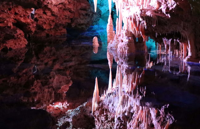 Hams Caves + Dinosaurland Day Trip - Foto 4