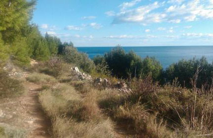 Cottage Melita the Apartment for Animal Lovers - Foto 31