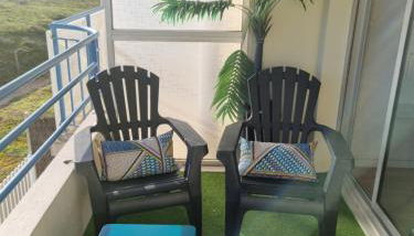 T2 cozy face dunes et océan - Thalasso et golf - Foto 5