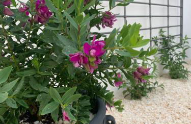 Los Chozones - Photo 18