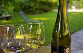 Mountain Pearl Velebit - Foto 53