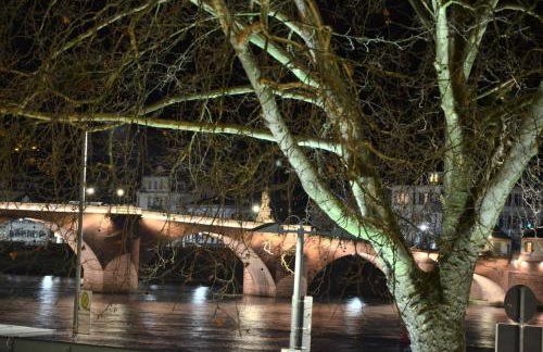 Ferienwohnungen Neckarblick - Heidelberg Altstadt - Foto 31