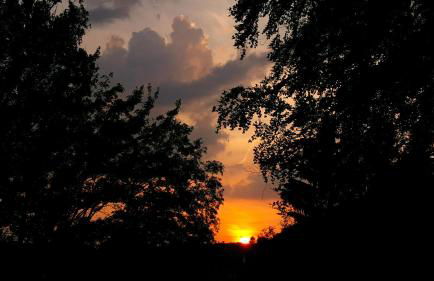 Ferienhaus Am Kirchberg - Foto 58