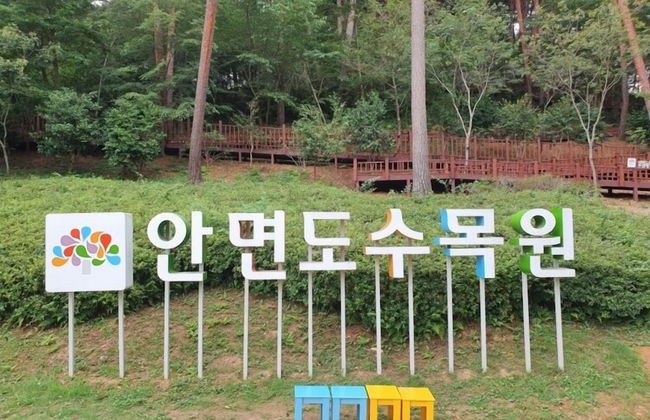 Anmyeondo In You Pension - Foto 62