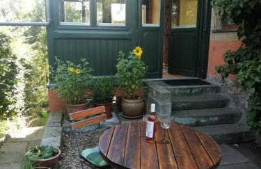 Ferienwohnung mit Charme in Dresden Pillnitz EG - Photo 2