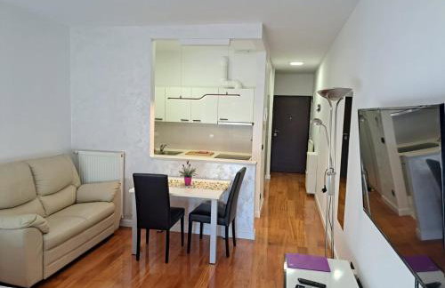 Nova Galerija Studio Ema i Apartman Anita- parking in garage - Foto 14