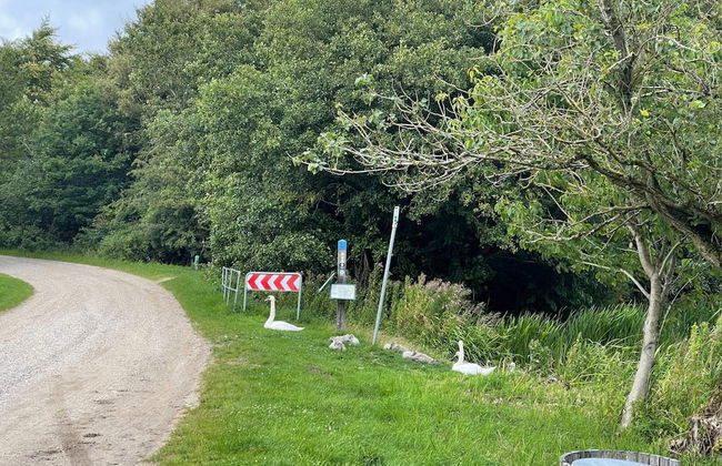 Luxury Retreat by Ho Bay - By Traum Ferienwohnungen - Photo 22