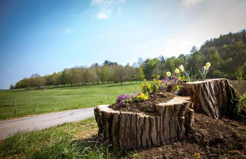 Wildberghof - Foto 12