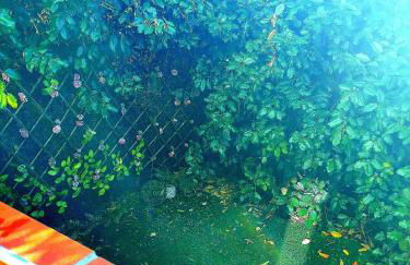 carré de détente JACUZZI JARDIN PISCINE T3 PARKING - Foto 6