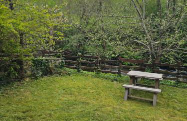 Apartamentos Rurales Casa Ardaliz - Foto 6