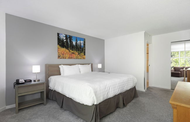 The Woodrun by Whiski Jack - Photo 61