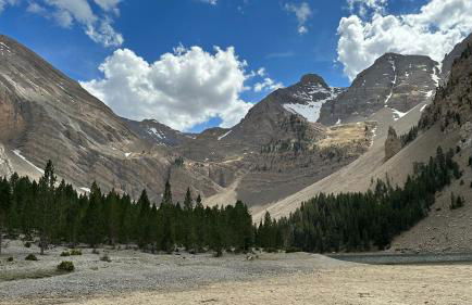 Apartamento Acogedor Pineta - Photo 17