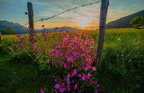 Bader Häusl - Chiemgau Karte - Foto 7