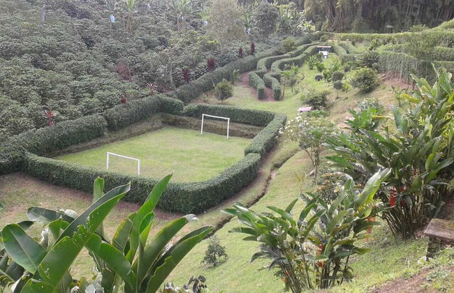 Entre Guaduas - Photo 26