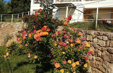 Hotel Theasis - Foto 9