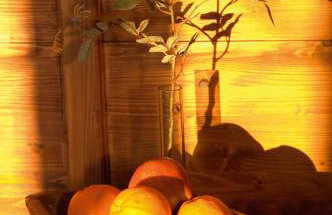 Villa Rustica - Photo 105