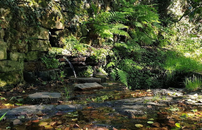 Molino de Yera - Foto 65