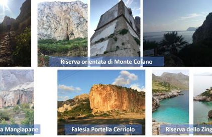 I due carrubi - Foto 52