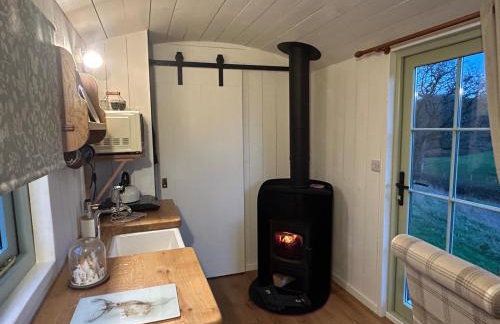 Cosy Devon Hut Woodland Views - Photo 7