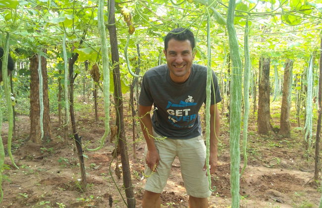 Araliya Self Cooking Resort Dambulla - Foto 1