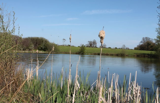 Colston Hall Cottages - Foto 44