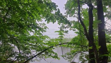 Dobry Wybór - Photo 3