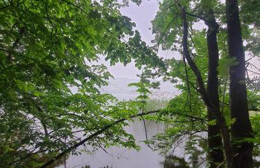 Dobry Wybór - Foto 3